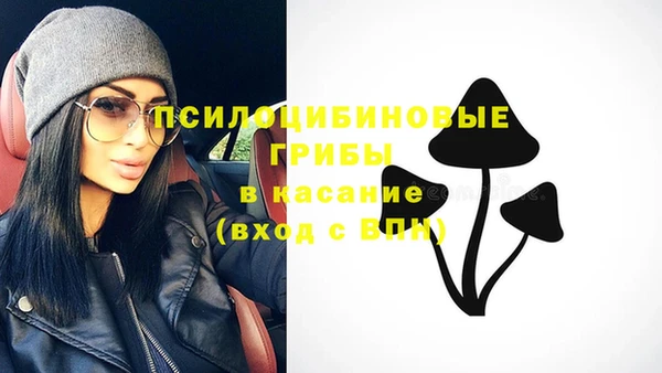 бошки Алзамай