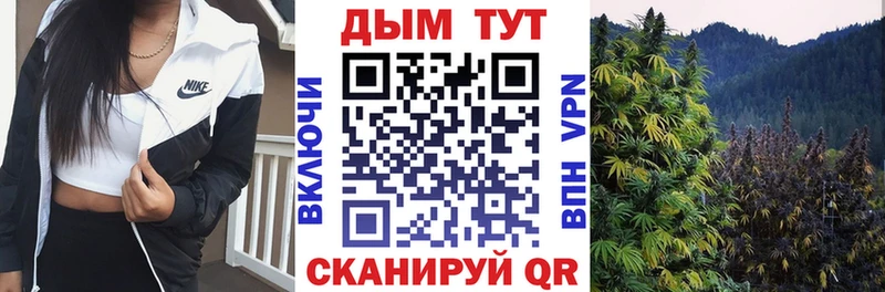 продажа наркотиков  Староминская  Канабис OG Kush 